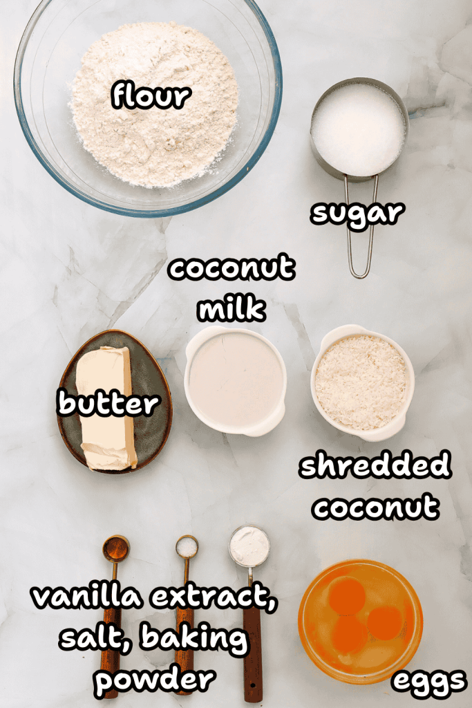 A flat lay of baking ingredients for coconut Christmas cake: a bowl of flour, sugar, a stick of butter, coconut milk, shredded coconut, eggs, and measured vanilla extract, salt, and baking powder.