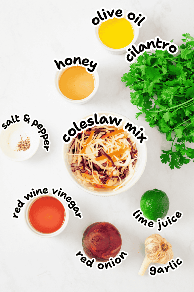 A bowl of coleslaw mix for Mexican slaw no mayo, surrounded by small bowls of olive oil, honey, red wine vinegar, chopped red onion, cilantro, a lime, garlic, and salt and pepper—all labeled with playful text.