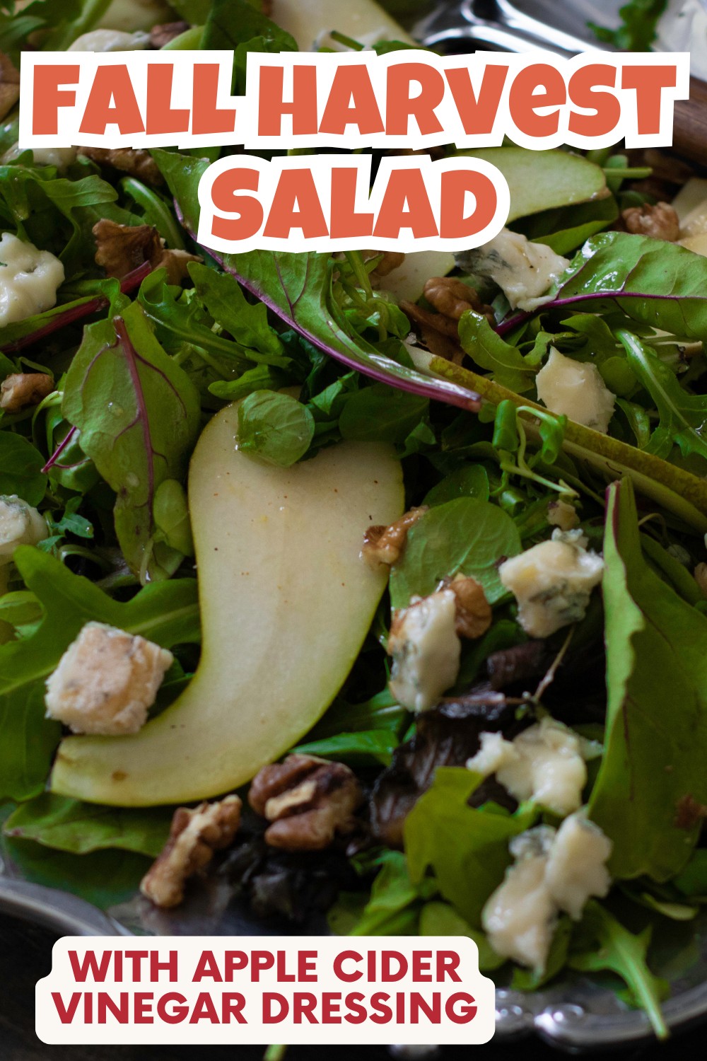 A fall harvest salad with mixed greens, pear slices, walnuts, and blue cheese crumbles, topped with apple cider vinegar dressing—this easy pear and walnut salad is the perfect Fall Harvest Salad Recipe for any autumn gathering. Text: Fall Harvest Salad with Apple Cider Vinegar Dressing.