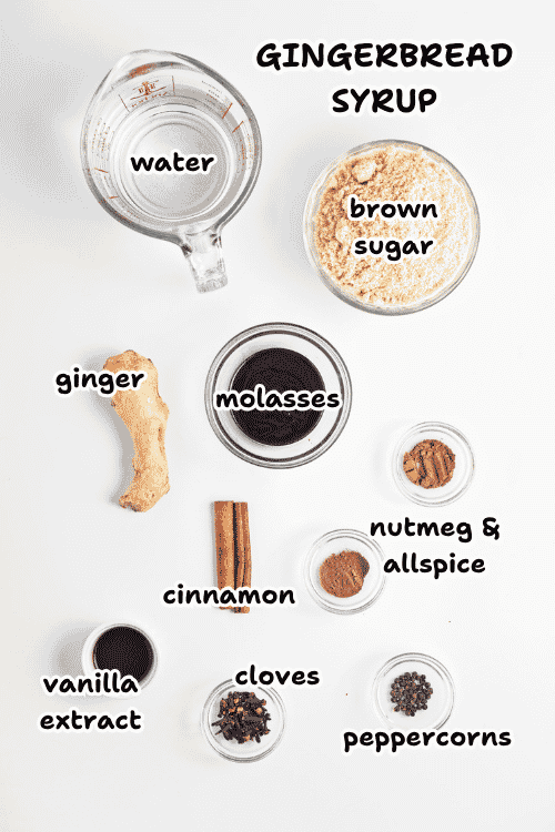 Overhead view of labeled gingerbread syrup ingredients: water, brown sugar, ginger, molasses, cinnamon, nutmeg & allspice, vanilla extract, cloves, and peppercorns—all the essential components for crafting homemade gingerbread syrup—arranged neatly on a white background.