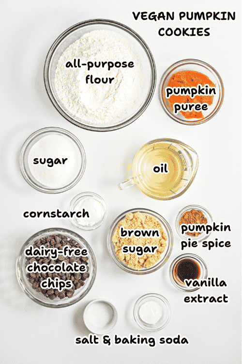 Labeled ingredients for vegan pumpkin chocolate chip cookies, including flour, pumpkin puree, sugar, oil, cornstarch, brown sugar, pumpkin pie spice, chocolate chips, vanilla extract, salt, and baking soda, arranged on a white surface.