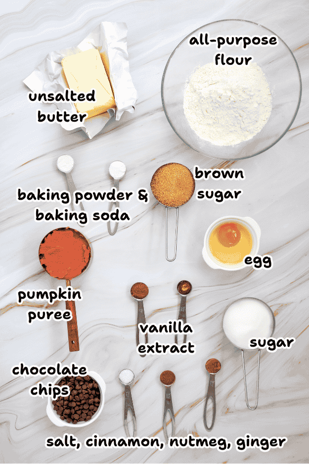 Overhead view of baking ingredients arranged on a marble surface for a soft pumpkin cookie recipe, including butter, flour, brown sugar, egg, pumpkin puree, chocolate chips, sugar, spices, baking powder, baking soda, and vanilla extract—each thoughtfully labeled for making delicious pumpkin cookies with chocolate chips.