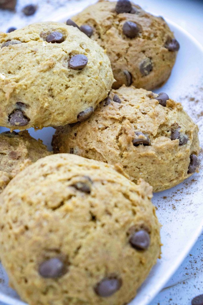 Close-up of five soft, round pumpkin cookies with chocolate chips on a white plate. The cookies have a golden-brown color and a slightly cakey texture, capturing the essence of an irresistible soft pumpkin cookie recipe.